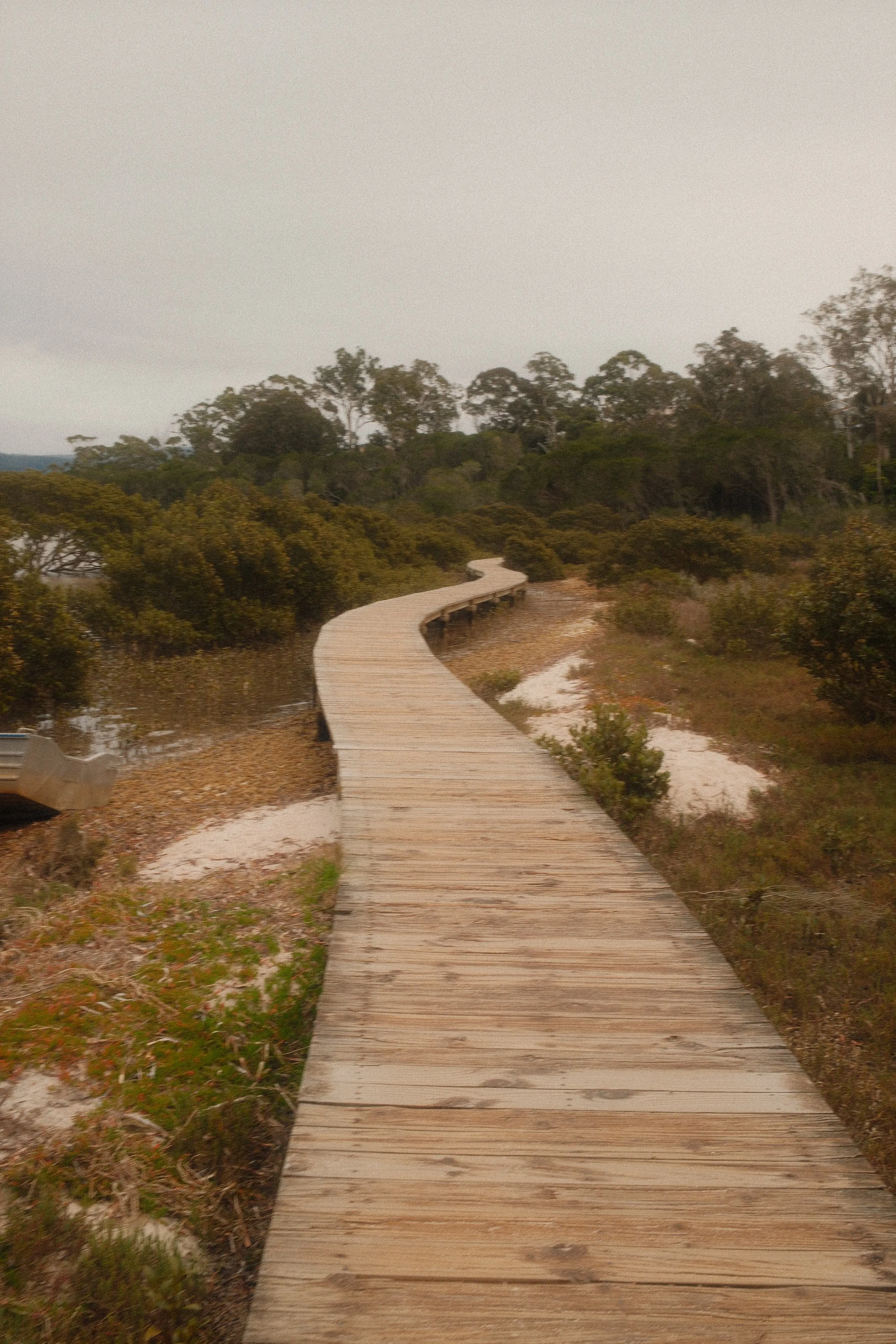A timber boardwalk curving through low coastal wetland under an overcast sky