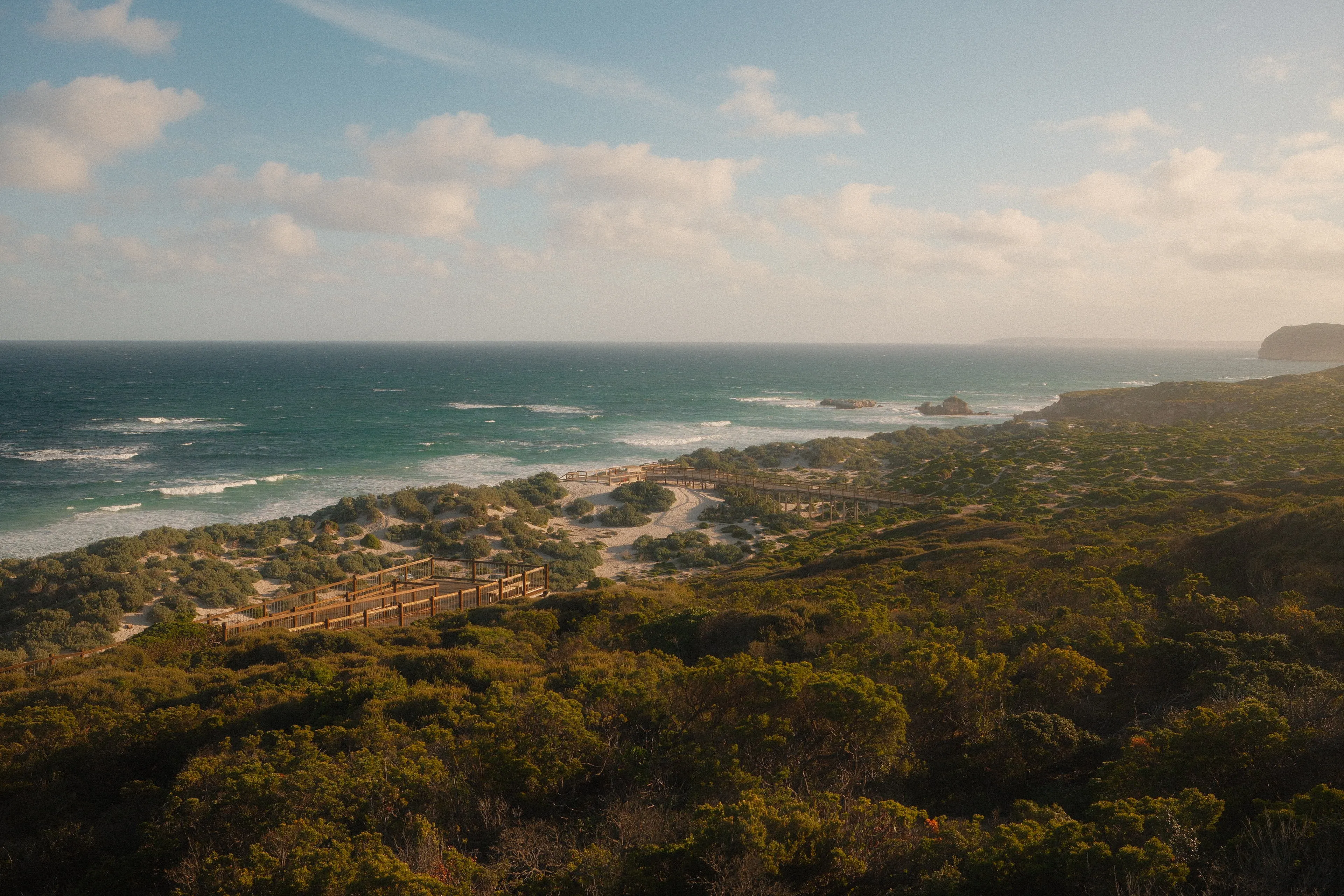 Coastal scrub rolling down to a turquoise sea, with a timber boardwalk winding through the dunes
