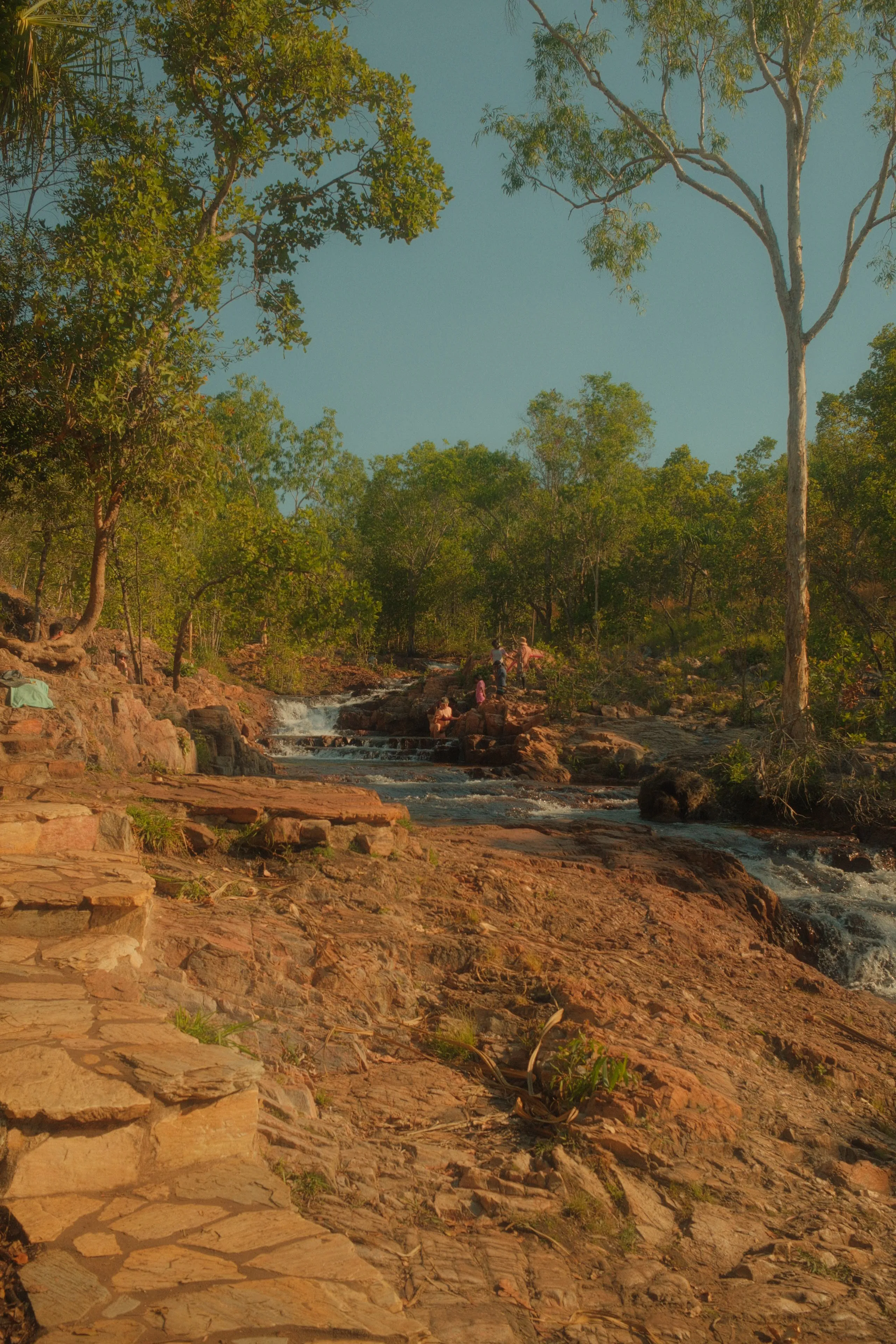 Water cascading over flat red rock between tall gum trees in late afternoon light